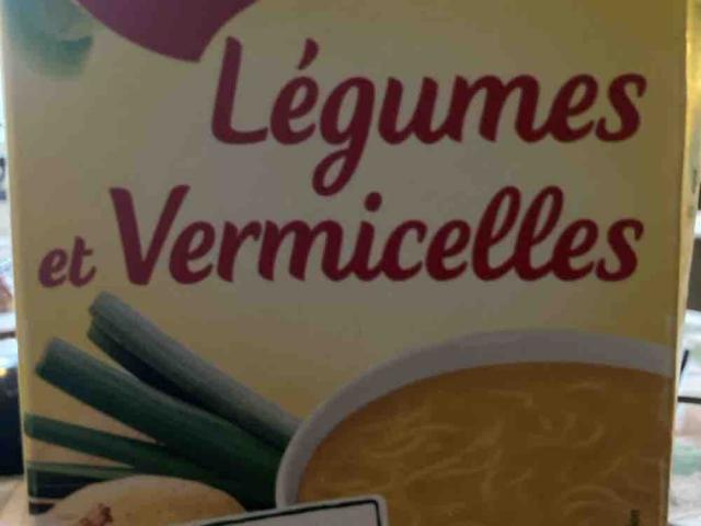 Legumes et Vermicelles, Pasta Soup / Gemüsesuppe mit Nudeln von  | Hochgeladen von: gallowhorse