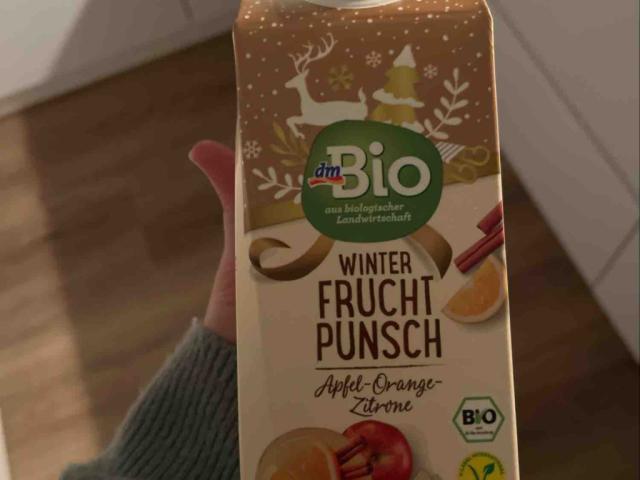 Winter Fruchtpunsch von KNadine12 | Hochgeladen von: KNadine12