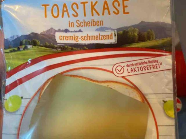 Toastkäse mild-fein von leevifk | Hochgeladen von: leevifk