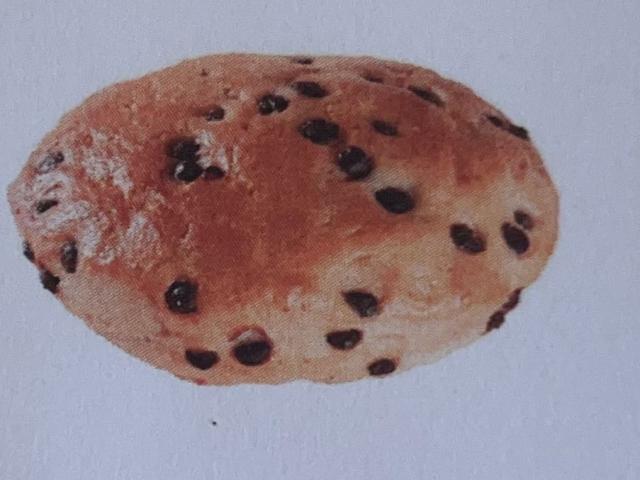 Hochgeladen von: Susanne Simon