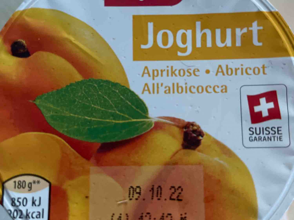 Joghurt Aprikose von AmySun | Hochgeladen von: AmySun