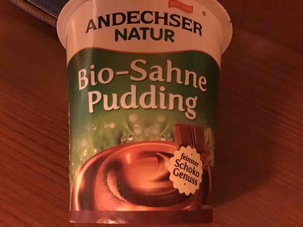 Bio Sahne Pudding, Feinster Schoko-Genuss von gabcar | Hochgeladen von: gabcar