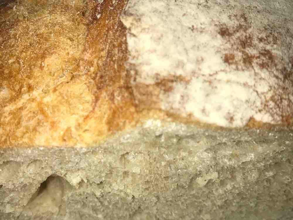 Huusbrot (Migros), Brot von gandroiid | Hochgeladen von: gandroiid