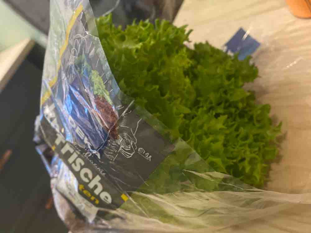 knack-frische Salatgarten von KatjaDyck | Hochgeladen von: KatjaDyck