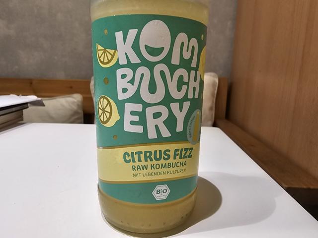 citrus fizz von Claudia Kraut | Hochgeladen von: Claudia Kraut