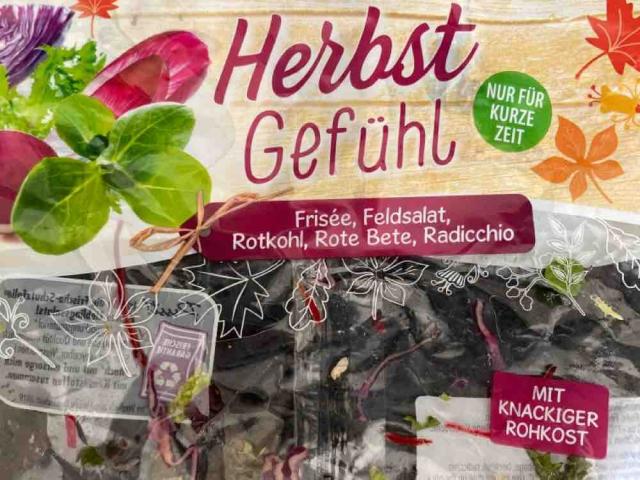 Herbstgefühl, Frisee, Feldsalat, Rotkohl, Rote Beete, Radicchi b | Hochgeladen von: katiecaz