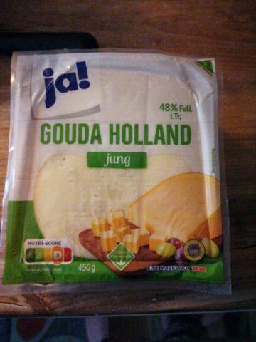 Gouda, Jung am Stück by madnisas | Hochgeladen von: madnisas