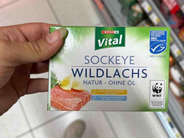 Wildlachs, Natur von fittami | Hochgeladen von: fittami