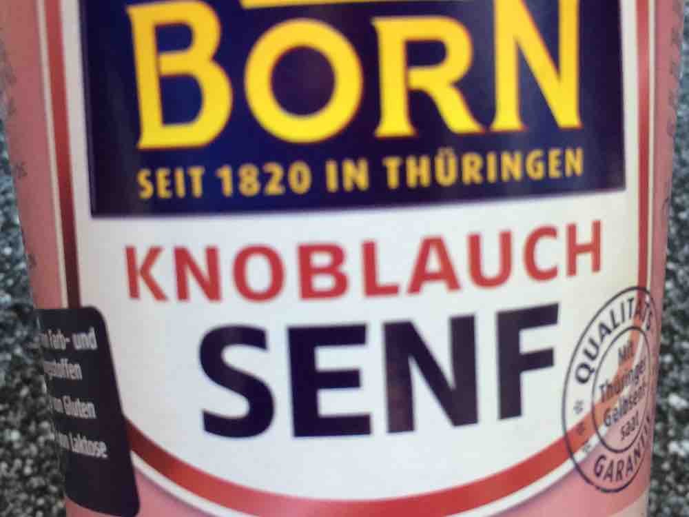 Knoblauch Senf  von Technikaa | Hochgeladen von: Technikaa
