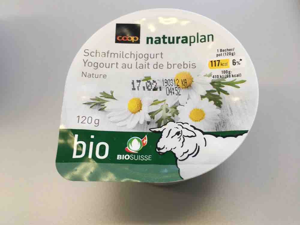 Bio Schafmilchjoghurt (Coop), Nature von Nasimoto | Hochgeladen von: Nasimoto