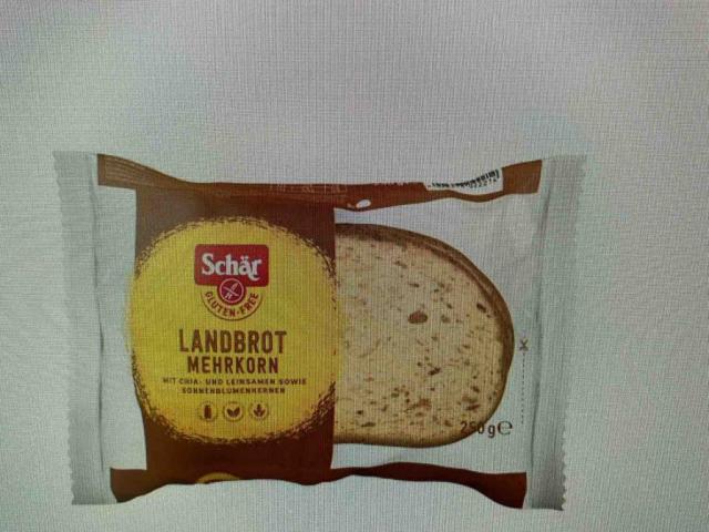 Landbrot Mehrkorn von SZ83 | Hochgeladen von: SZ83