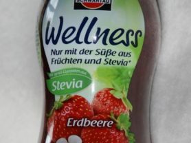 Schwartau Wellness Erdbeere Stevia | Hochgeladen von: Dose