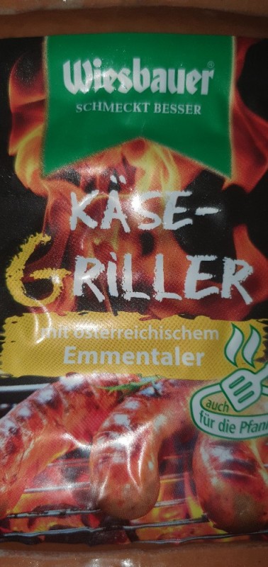 Käse Griller, mit Emmentaler von MizTery213 | Hochgeladen von: MizTery213