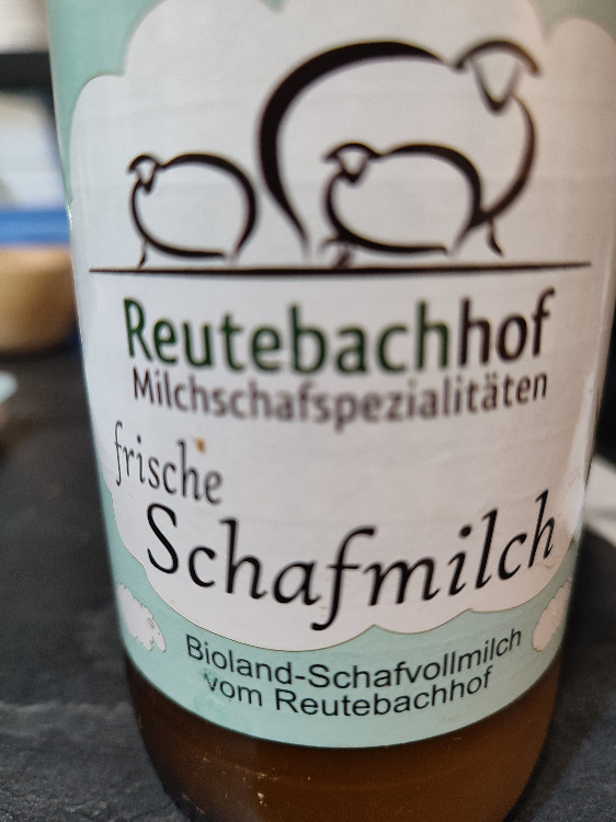 Frische Schafmilch von mellypittner | Hochgeladen von: mellypittner