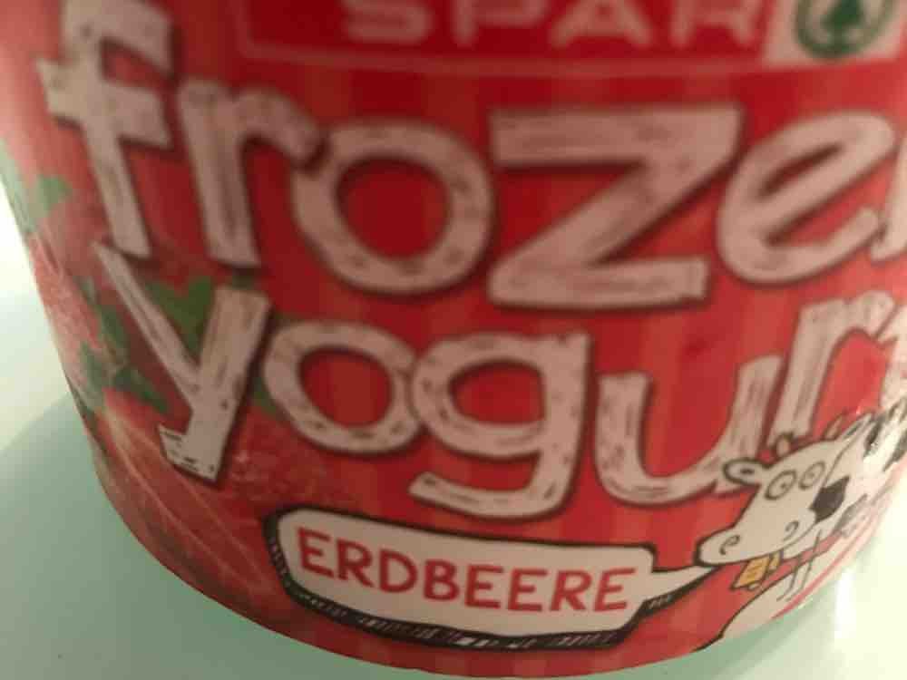 Frozen Yoghurt von Zausy | Hochgeladen von: Zausy