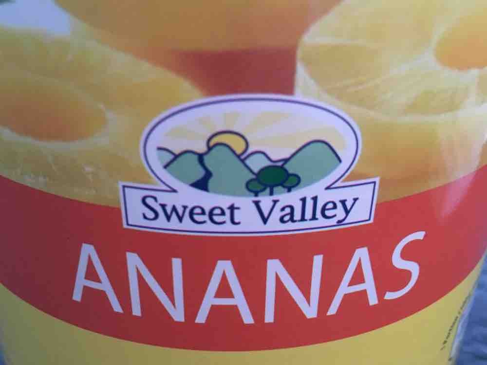 Ananas in Scheiben Sweet Valley von merling | Hochgeladen von: merling