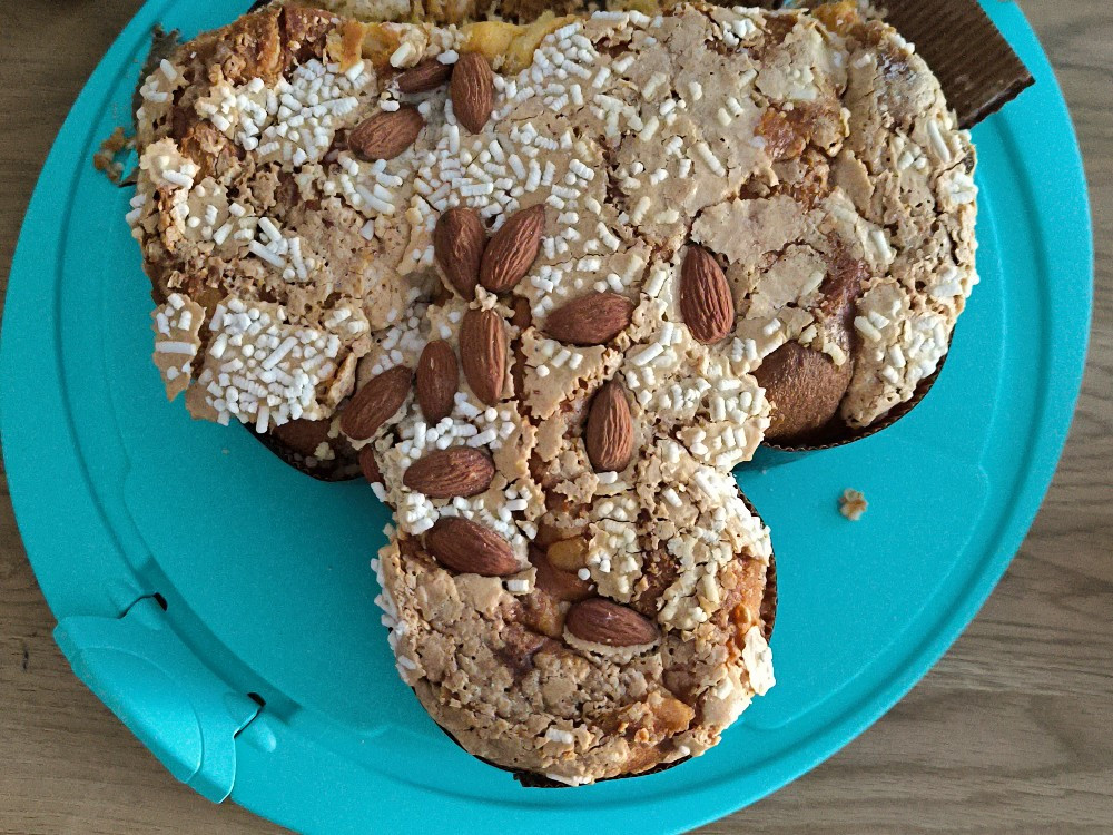 La Colomba Classica von pfeiffermerding464 | Hochgeladen von: pfeiffermerding464 La Colomba Classica von pfeiffermerding464 | Hochgeladen von: pfeiffermerding464
