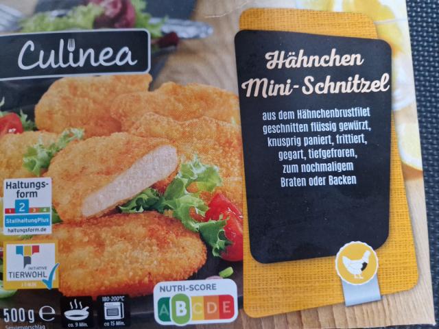 Hähnchen Mini-Schnitzel von Wurstfee23 | Hochgeladen von: Wurstfee23