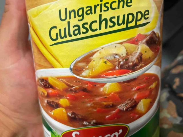 Gulaschsuppe von MF94 | Hochgeladen von: MF94