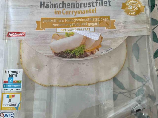 Hähnchenbrustfilet mit Curry Mantel von johannah | Hochgeladen von: johannah