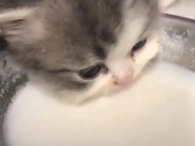 Hochgeladen von: chariee