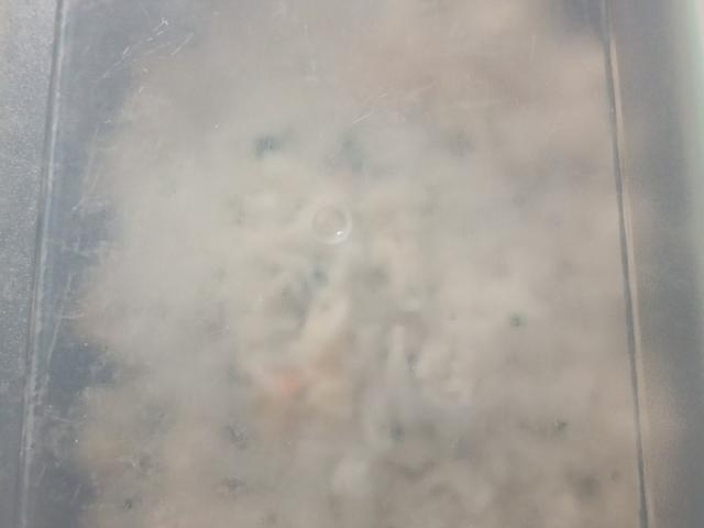 rice with chicken and vegetable stew by Indiana 55 | Uploaded by: Indiana 55 rice with chicken and vegetable stew by Indiana 55 | Uploaded by: Indiana 55