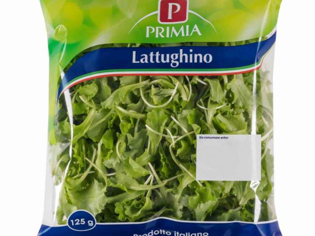 Lattughino, Primia by larvale | Uploaded by: larvale
