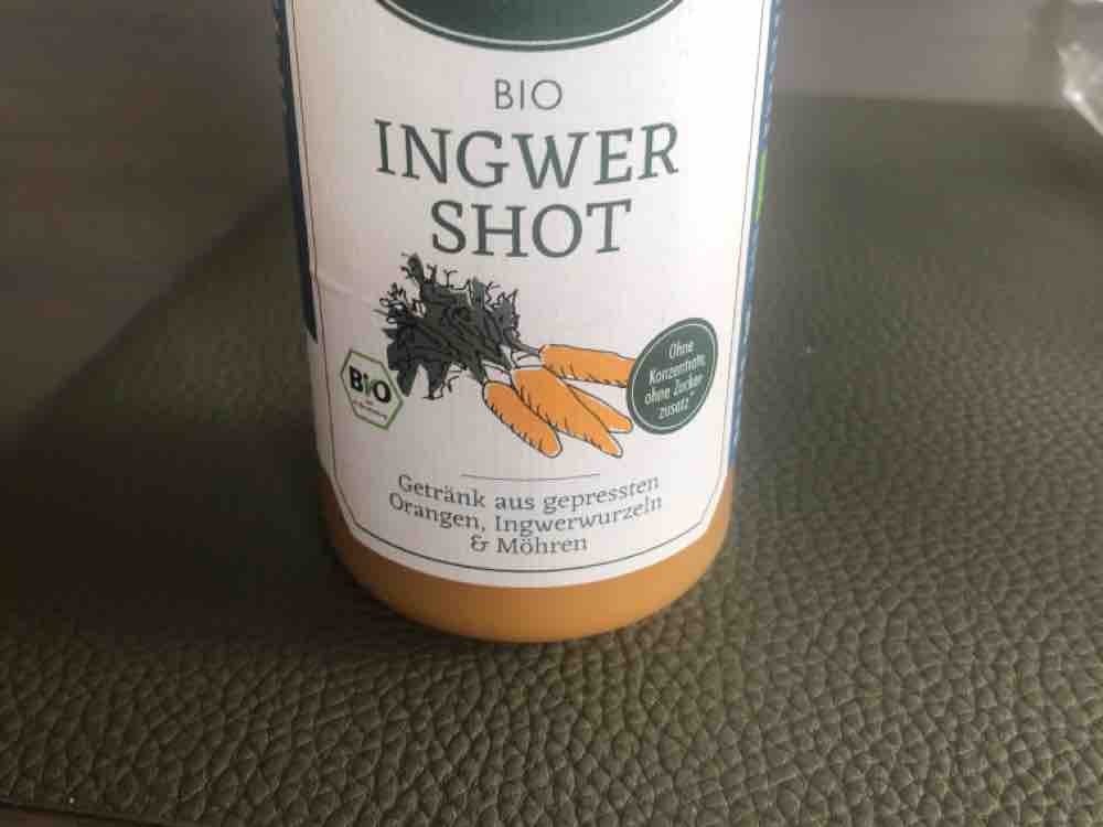 Ingwer Shot, mit Orange und Möhre von flolo | Hochgeladen von: flolo