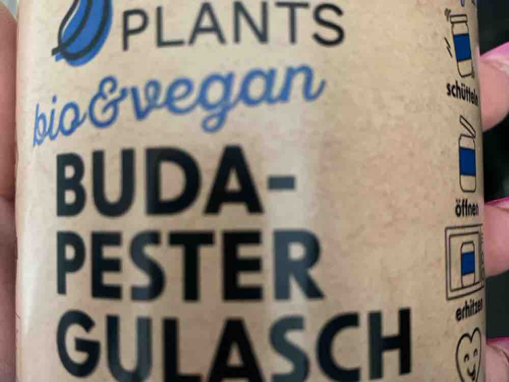 Budapester Gulasch, vegan von charlenemoscardini | Hochgeladen von: charlenemoscardini