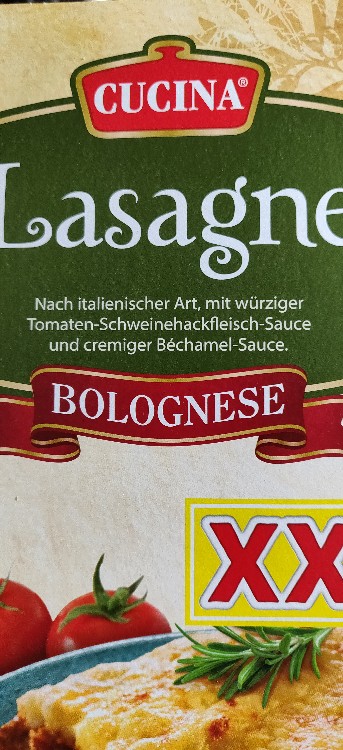 Lasagne Bolognese XXL von pavelgk | Hochgeladen von: pavelgk