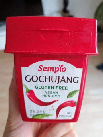 Gochujang, Gluten Free, Vegan, Non-GMO von Karina11 | Hochgeladen von: Karina11