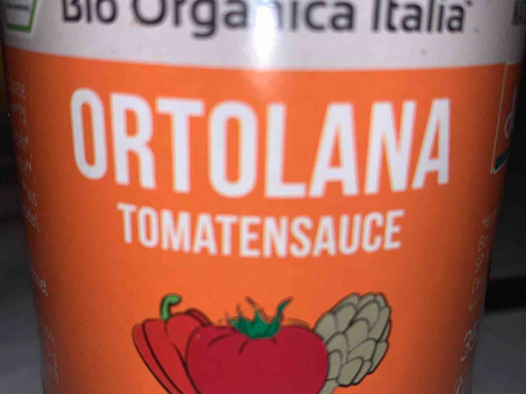 Ortolana Tomatensauce von maddymay | Hochgeladen von: maddymay