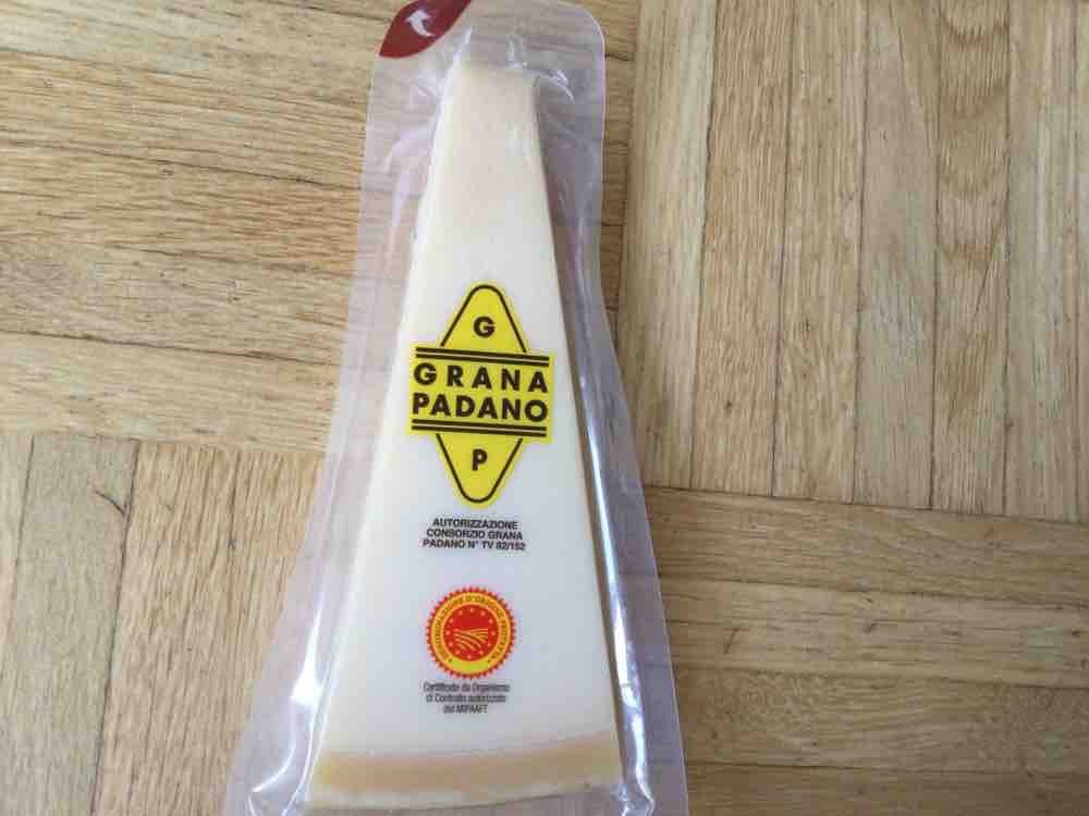 Grana Padano käse von Smithy | Hochgeladen von: Smithy