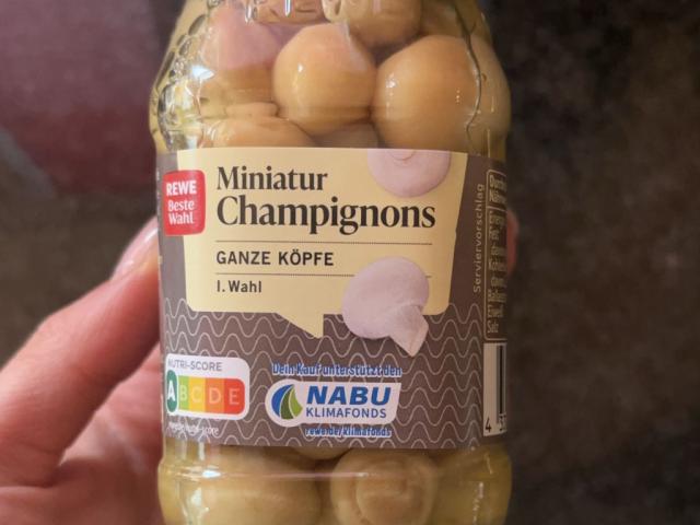 Hochgeladen von: ninaaaluni Hochgeladen von: ninaaaluni