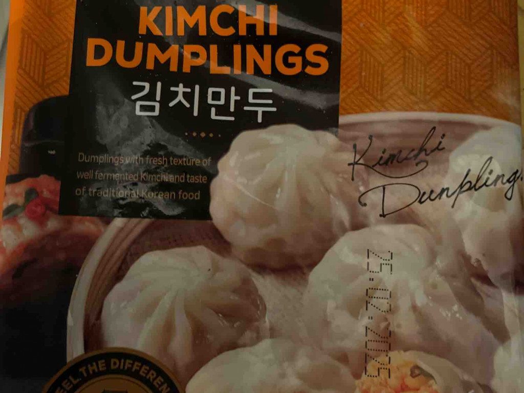 kimchi dumpling von lamski | Hochgeladen von: lamski