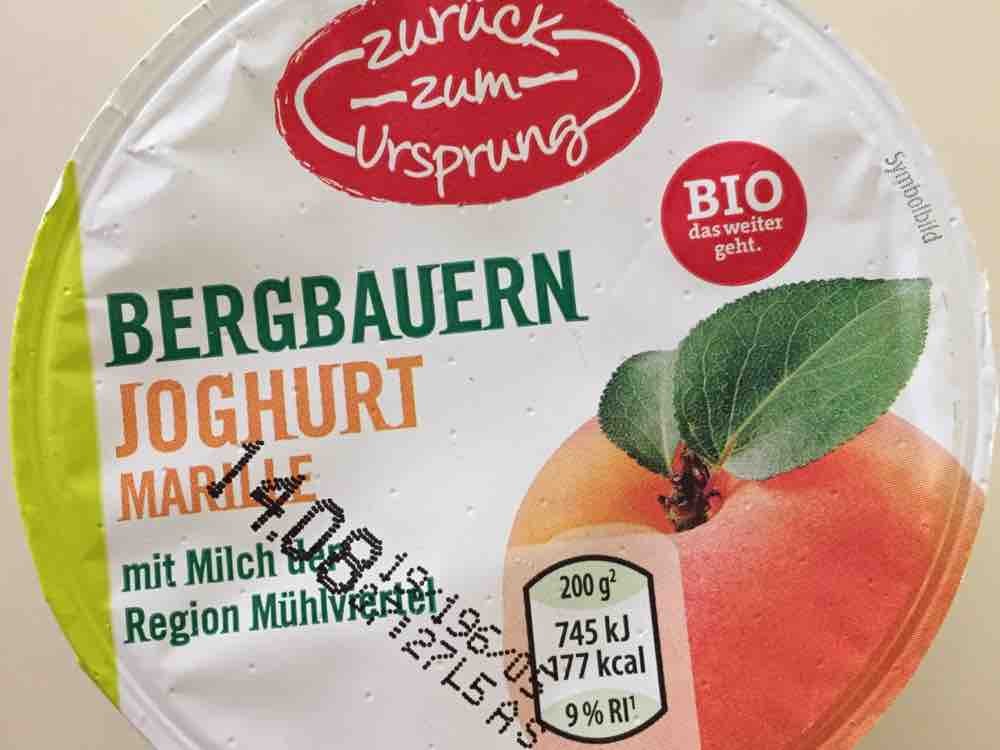 Mühlviertler Bergbauern-Joghurt, Marille von stefanoberpeilstein | Hochgeladen von: stefanoberpeilsteiner