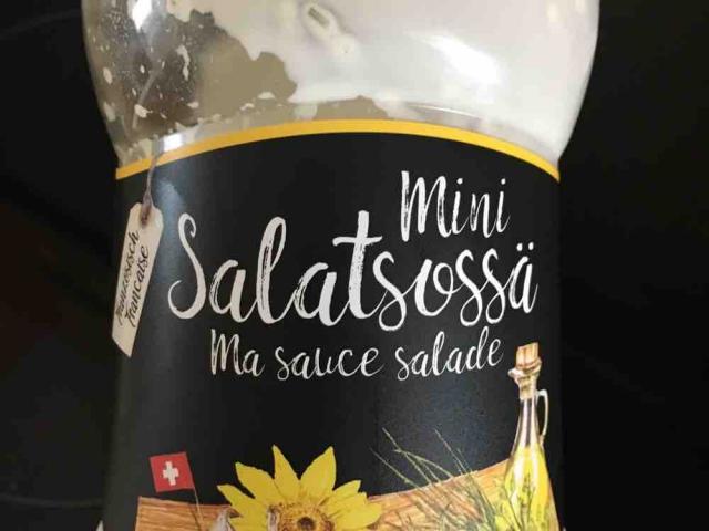 Mini Salatsauce von marisa | Hochgeladen von: marisa