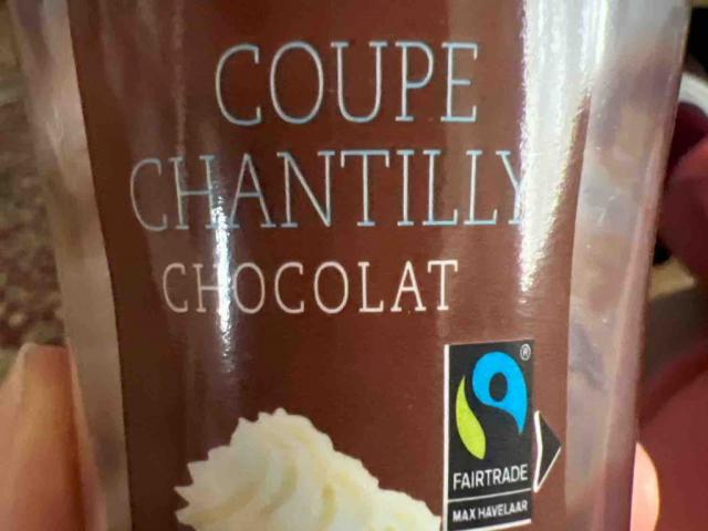 coupe chantilly, chocolate by NWCLass | Uploaded by: NWCLass