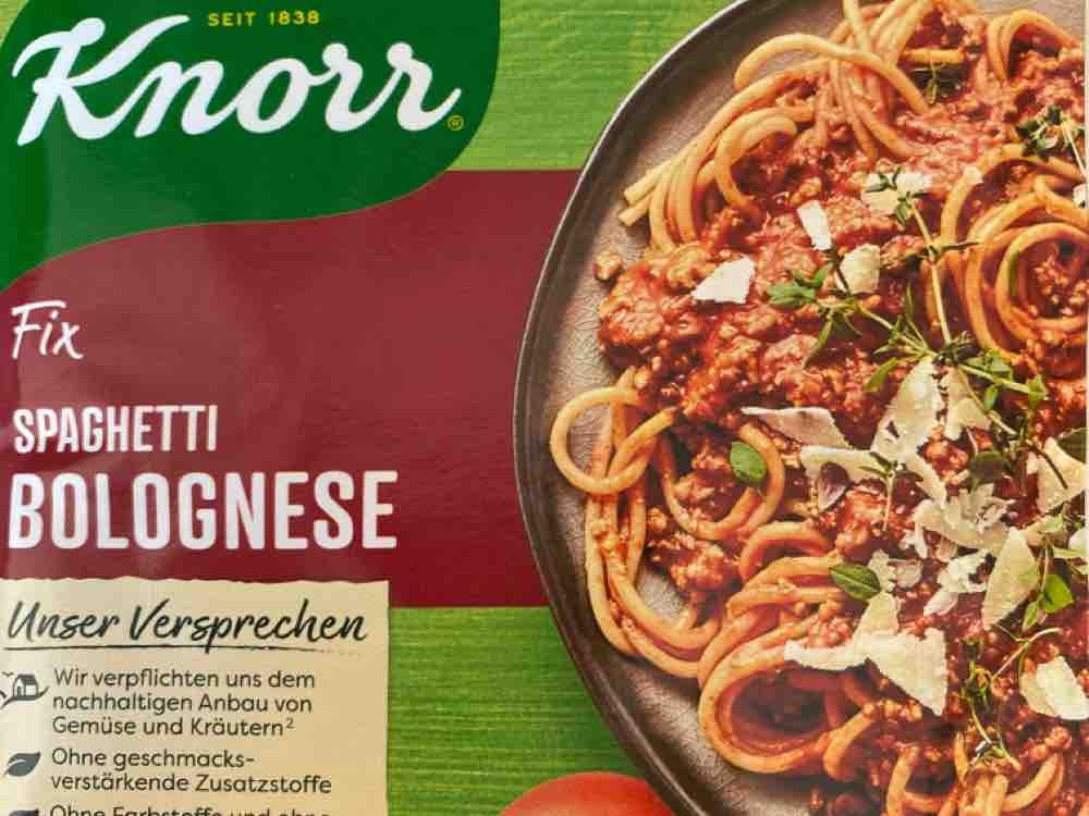 Spaghetti Bolognese, +1 Portion von Aexl | Hochgeladen von: Aexl