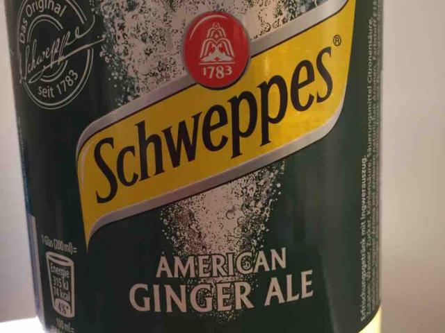 American Ginger Ale von Muttihoch3 | Hochgeladen von: Muttihoch3