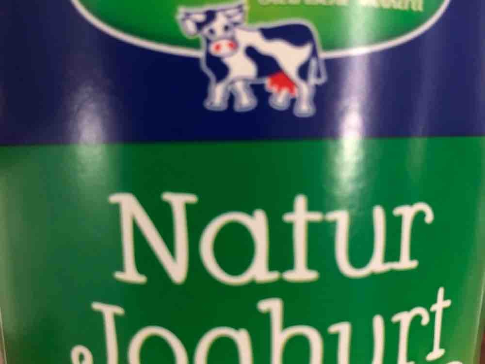 Natur Joghurt, Mit natürlichem Fettgehalt von Trustme78 | Hochgeladen von: Trustme78