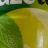 fuzetea Grüner Tee Limette Minze, wenig Kalorien von KingJulien8 | Hochgeladen von: KingJulien89