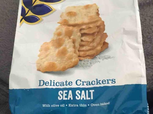 delicate Crackers sea salt von BenSc92 | Hochgeladen von: BenSc92