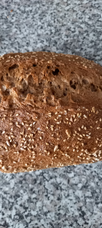 Bio Vollkornbrot von minka26101962627 | Hochgeladen von: minka26101962627