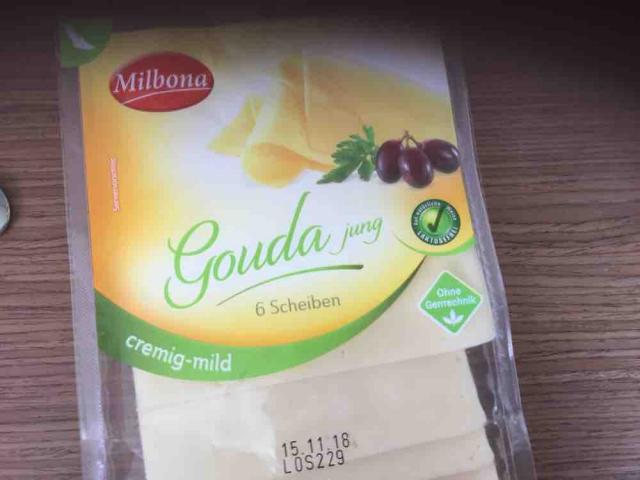 Gouda jung, laktosefrei von kingsilvi | Hochgeladen von: kingsilvi