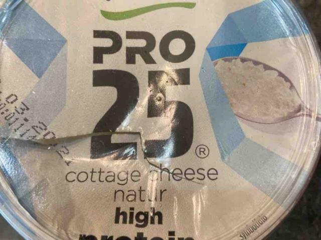 Pro 25 Cottage Cheese by Mego | Uploaded by: Mego