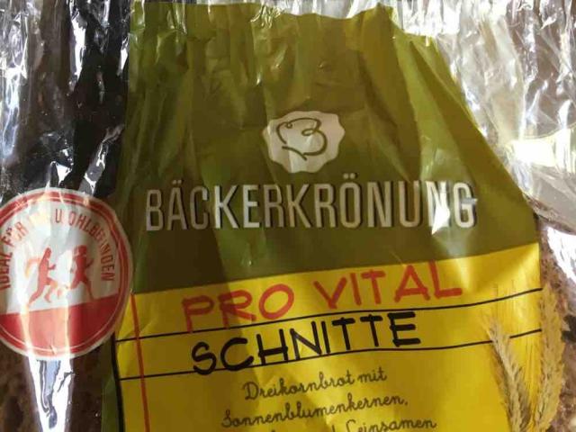 Pro Vital Schnitte von BastiWT | Hochgeladen von: BastiWT