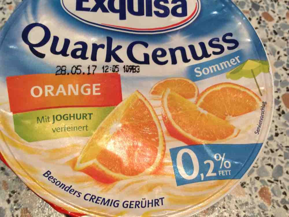 Quark, Orange von Nico 1604 | Hochgeladen von: Nico 1604