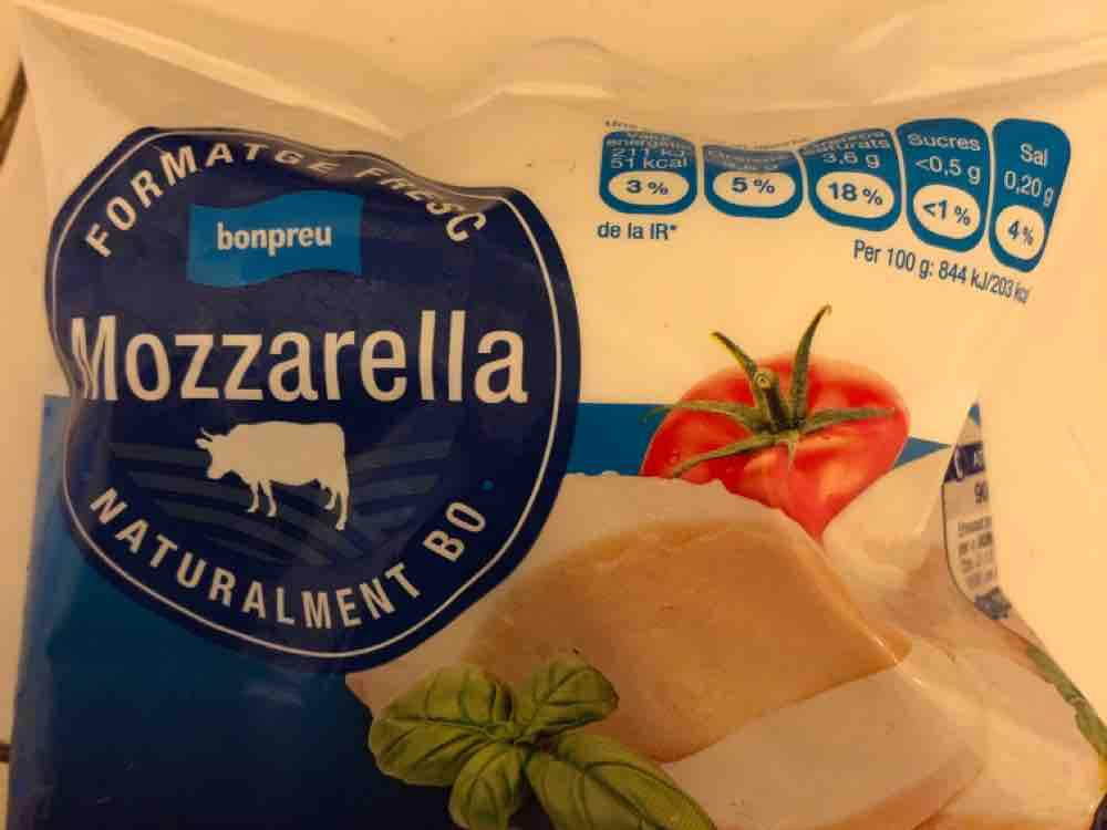 Mozzarella, Formatge Fresc von leonhennig | Hochgeladen von: leonhennig