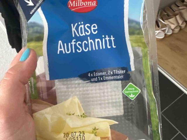 käse Aufschnitt by JustineB | Hochgeladen von: JustineB